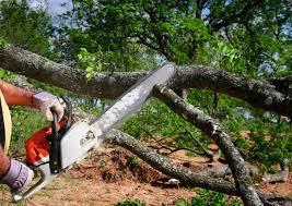 Lawn Irrigation Installation and Maintenance in Kingstown, MD